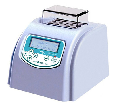 �������ԡ